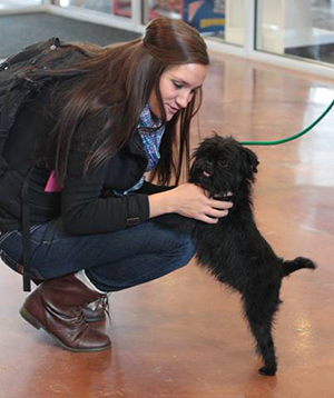 A student takes a break from final exams to play with a Pet Partners furry companion