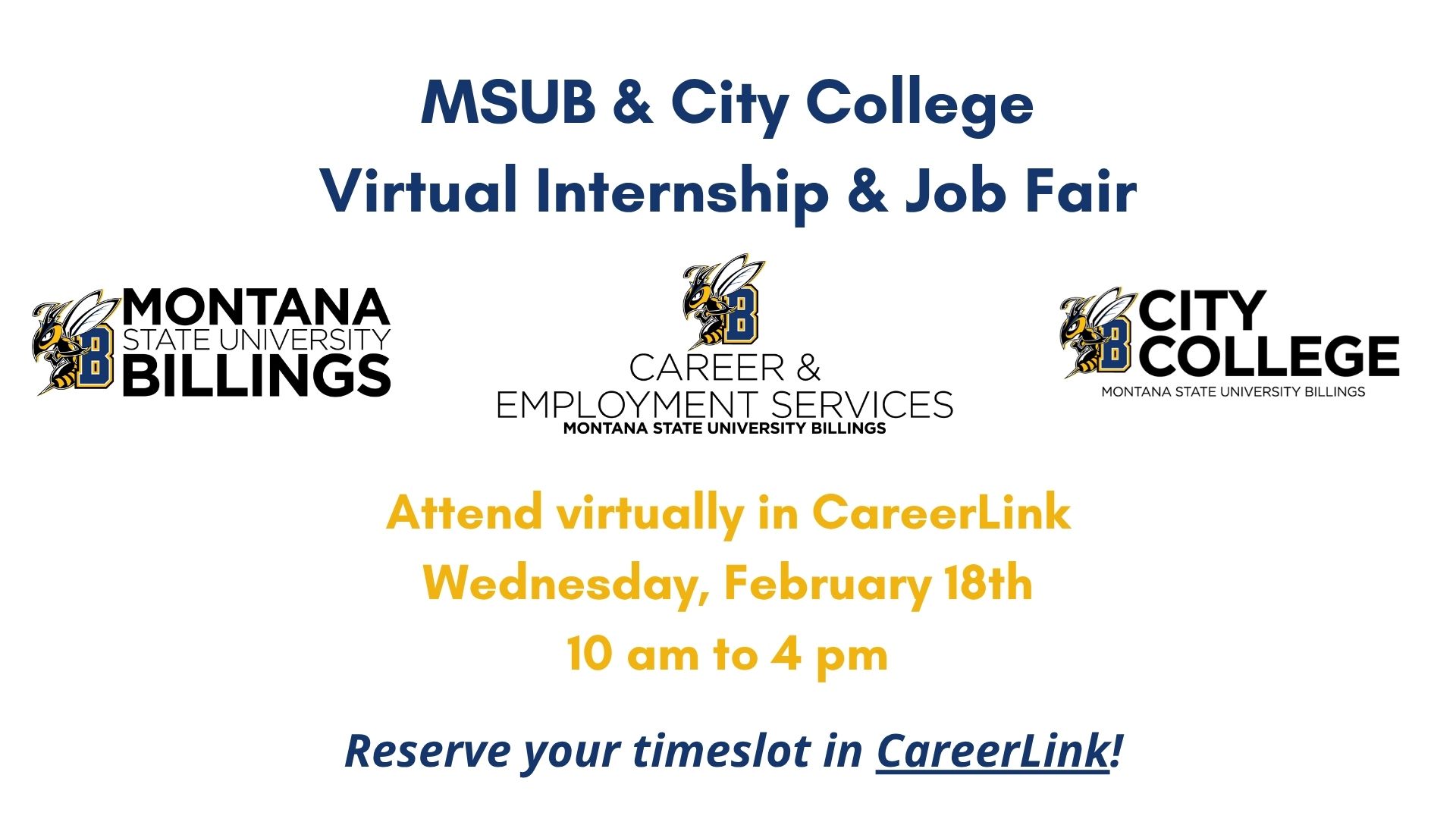 Virtual Internship and Job Fair