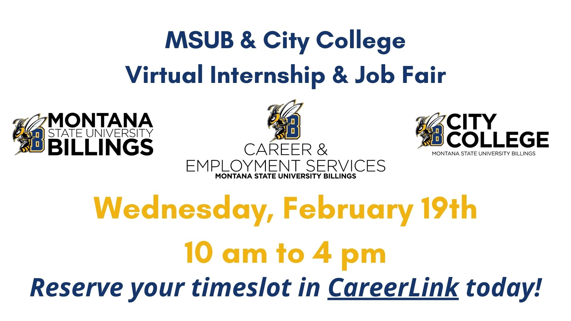 Virtual Internship and Job Fair