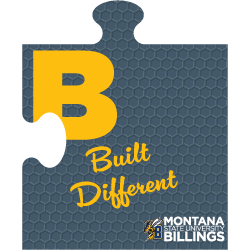 Built Different MSUB puzzle piece