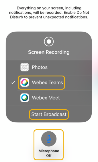 Screen share settings