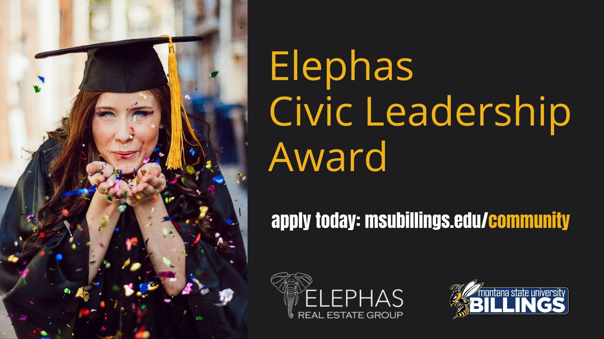 Elephas Civic Leadership Award. Apply today.