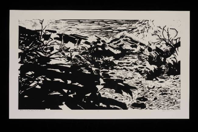 Another one of Janzen's prints