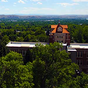 McMullen Hall tower in summertime