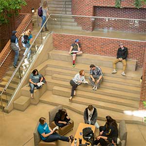students meeting and studying in the SUB atrium