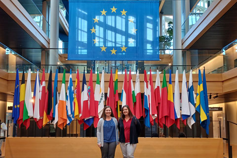 MSUB faculty members stand in front of the European Parliament flags