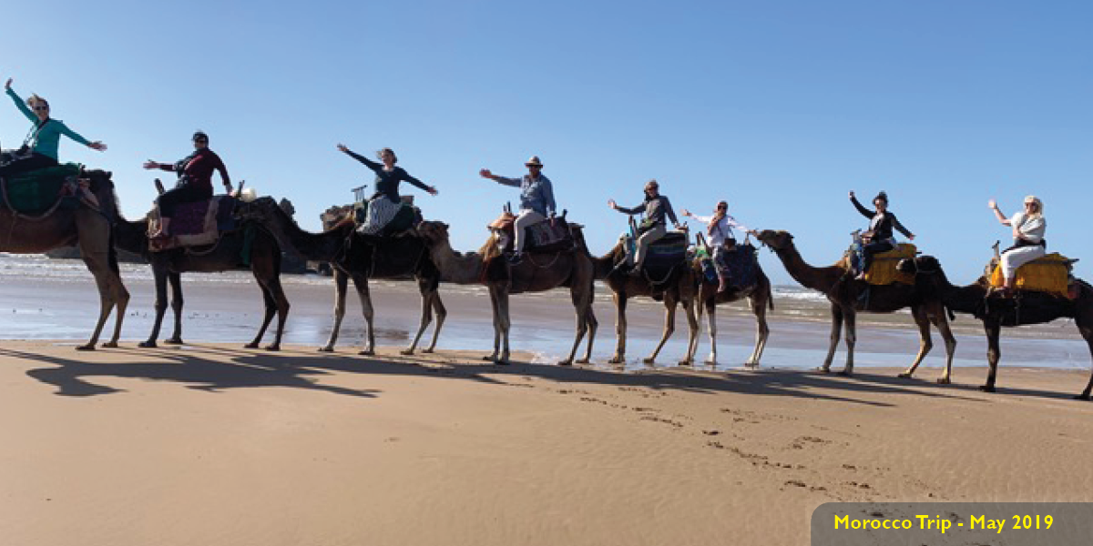 Morocco MSUB trip, riding camels