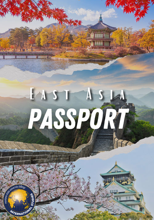 East Asia Passport Cover