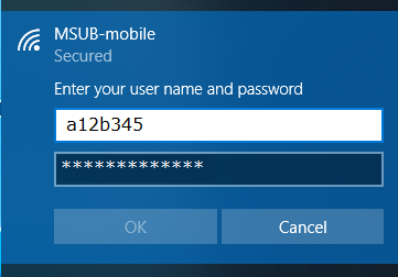 Enter your NetID and Password