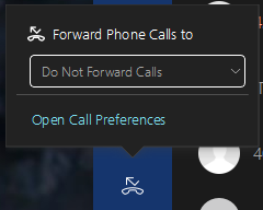 Phone Forwarding Options