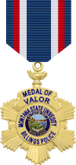 medal of valor 1