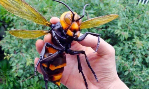 Giant hornet toy