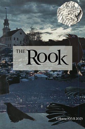 Cover of the 2025 Rook, volume 27